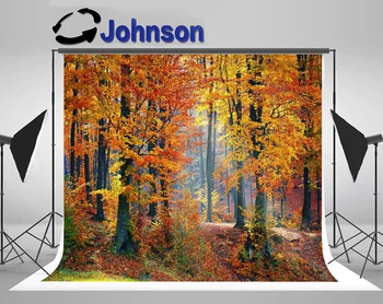 JOHNSON Orange Lesa Jeseň Jeseň Strom, Listy, fotografie prostredí Vysokej kvality Počítač tlač stenu foto pozadie