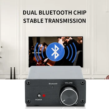 LDZS mini audio hifi Bluetooth 5.0 power class D zosilňovač tpa3116 digitálny zosilňovač 100W * 2 domov zosilňovač audio a LDZS mini audio hifi Bluetooth 5.0 power class D zosilňovač tpa3116 digitálny zosilňovač 100W * 2 domov zosilňovač audio a 1